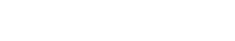 CAE Engineering