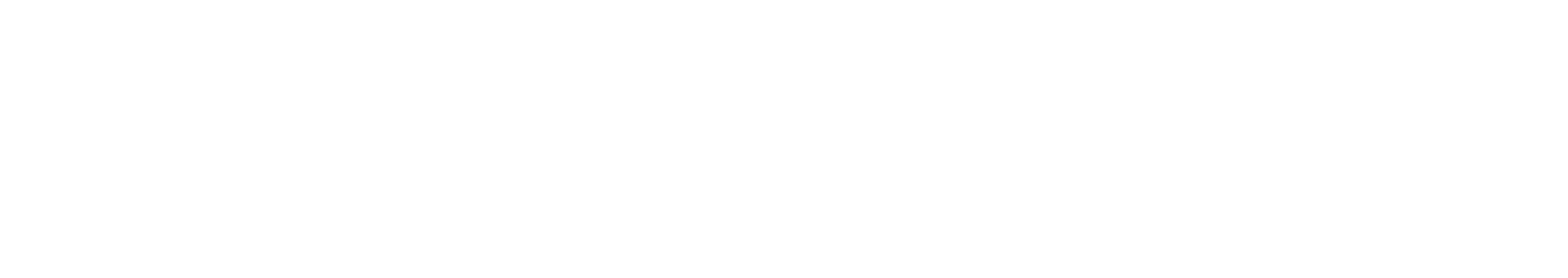 CAE Engineering